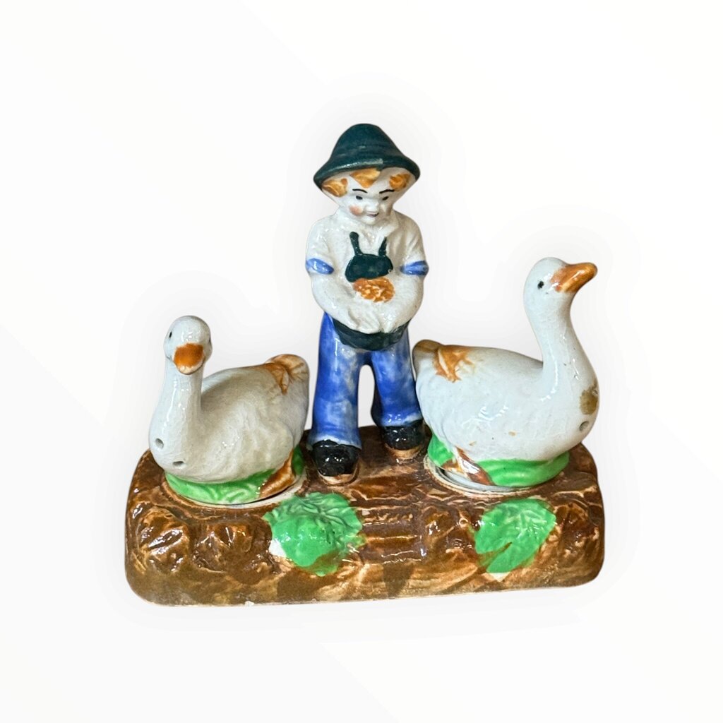 Salt and Pepper - Boy with Geese