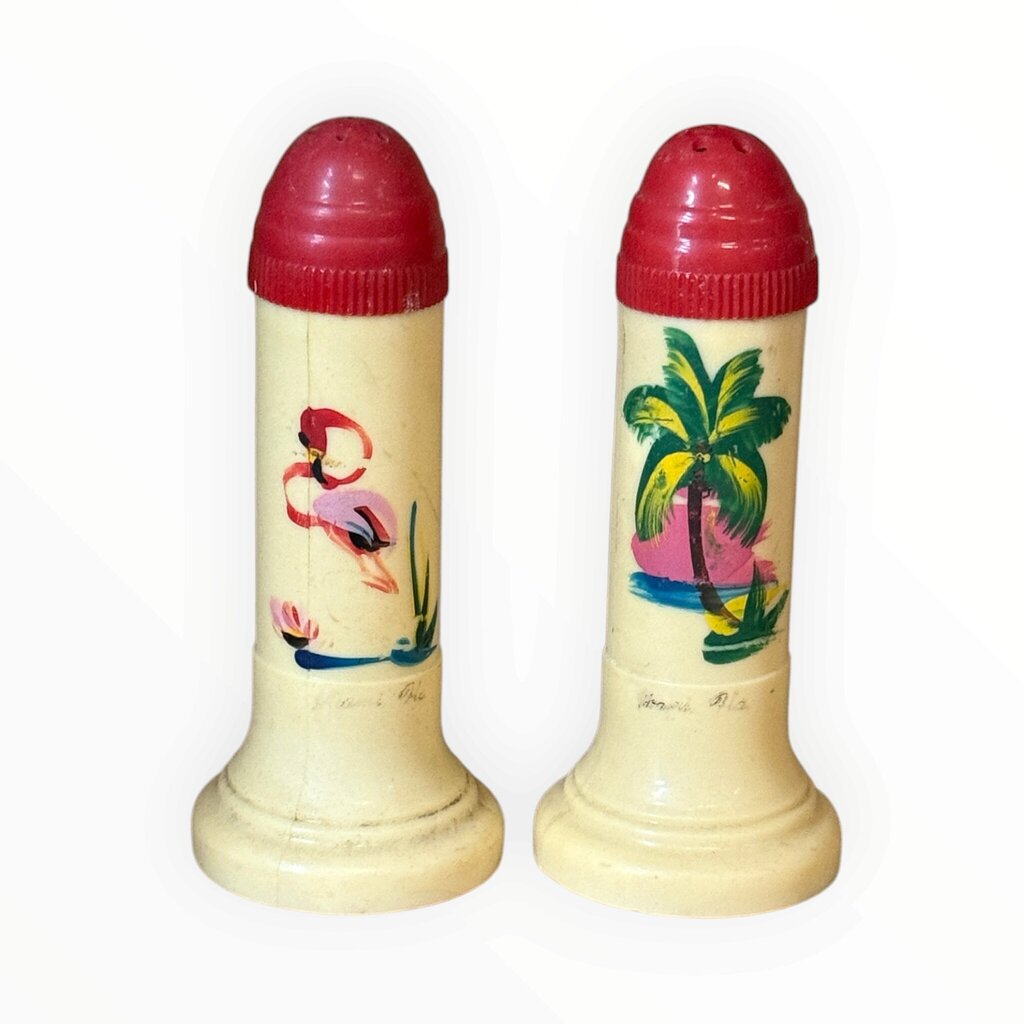 Salt and Pepper - Beach Scene