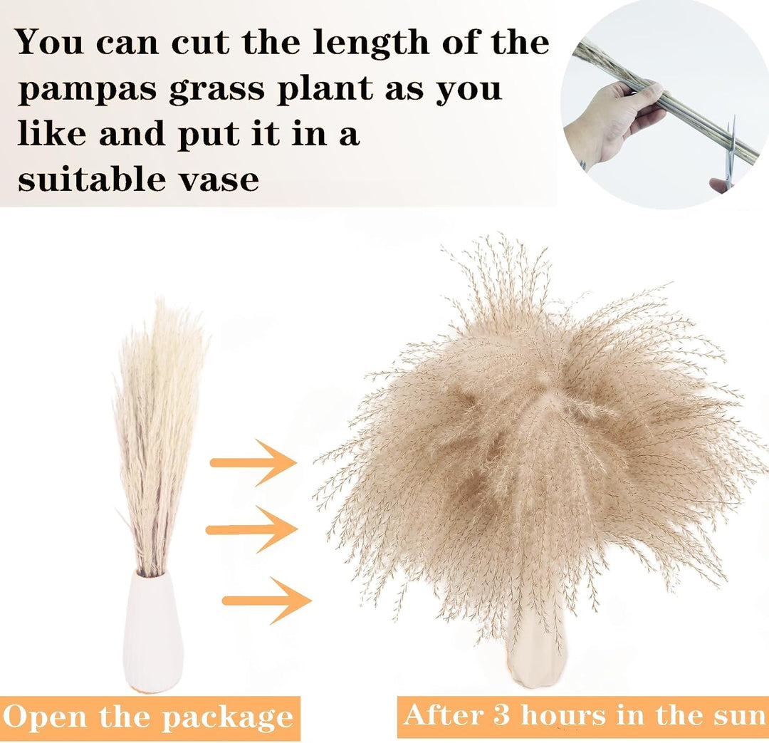Natural Dried Pampas Grass Decor, 110 PCS Pampas Grass Contains White Bunny Tails Dried Flowers, Artificial Flowers for Bathroom Decor, Bathroom wall, Office Decor and Baby Shower Decorations