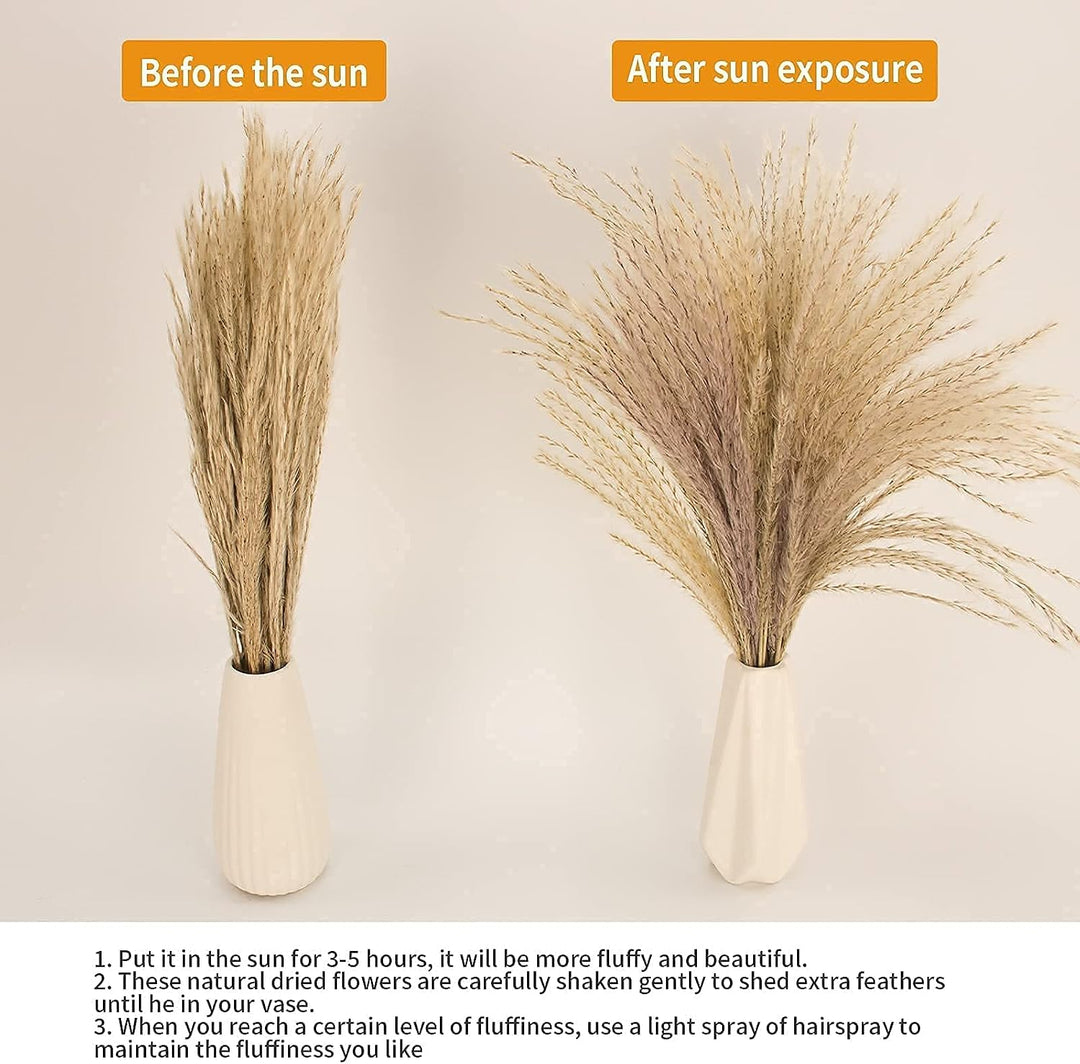 Natural Dried Pampas Grass Decor, 110 PCS Pampas Grass Contains White Bunny Tails Dried Flowers, Artificial Flowers for Bathroom Decor, Bathroom wall, Office Decor and Baby Shower Decorations