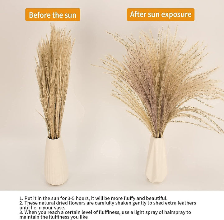 Natural Dried Pampas Grass Decor, 110 PCS Pampas Grass Contains White Bunny Tails Dried Flowers, Artificial Flowers for Bathroom Decor, Bathroom wall, Office Decor and Baby Shower Decorations