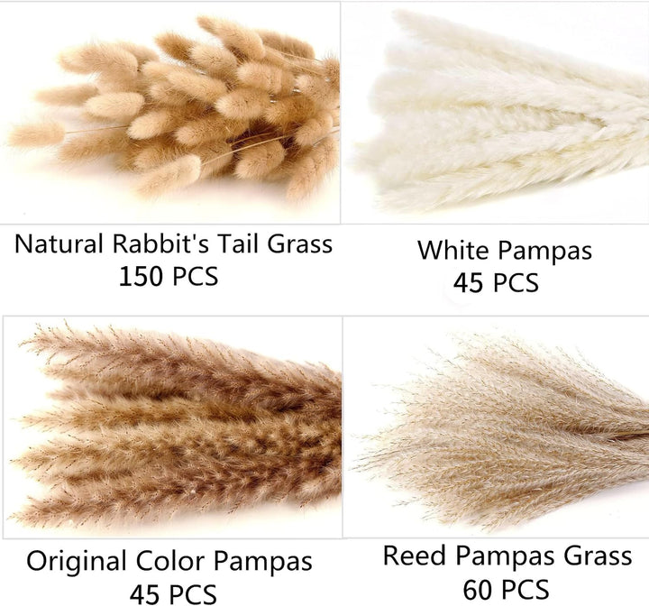 Natural Dried Pampas Grass Decor, 110 PCS Pampas Grass Contains White Bunny Tails Dried Flowers, Artificial Flowers for Bathroom Decor, Bathroom wall, Office Decor and Baby Shower Decorations
