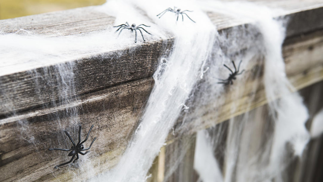 Halloween Spider Web Decoration, 800 Sqare Feet &amp; Plastic Spiders, Halloween Party Supplies, Spider Webs (Large, 800 Sq Feet)