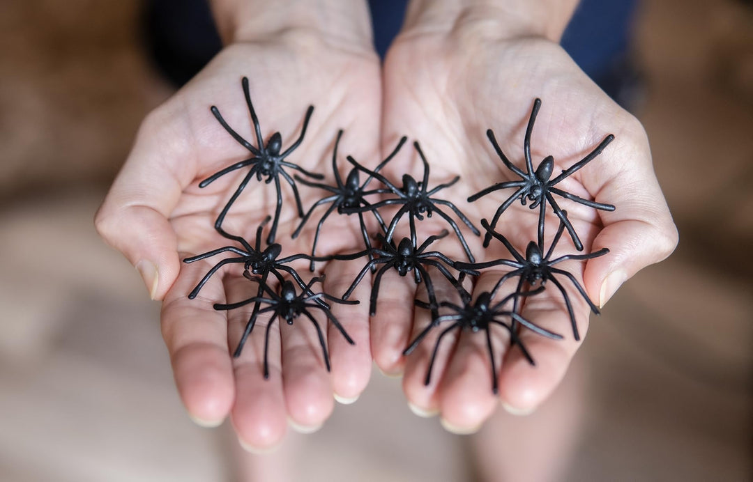 Halloween Spider Web Decoration, 800 Sqare Feet &amp; Plastic Spiders, Halloween Party Supplies, Spider Webs (Large, 800 Sq Feet)