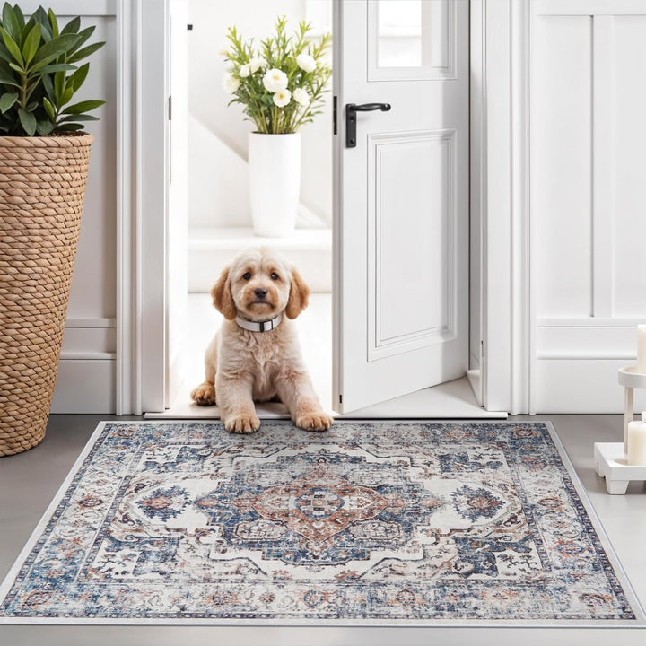 HY HAOYUNLAI Washable 2x9 Hallway Kitchen Runner Rug Non-Slip