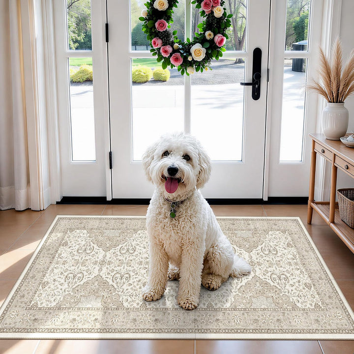 HY HAOYUNLAI Washable 2x9 Hallway Kitchen Runner Rug Non-Slip
