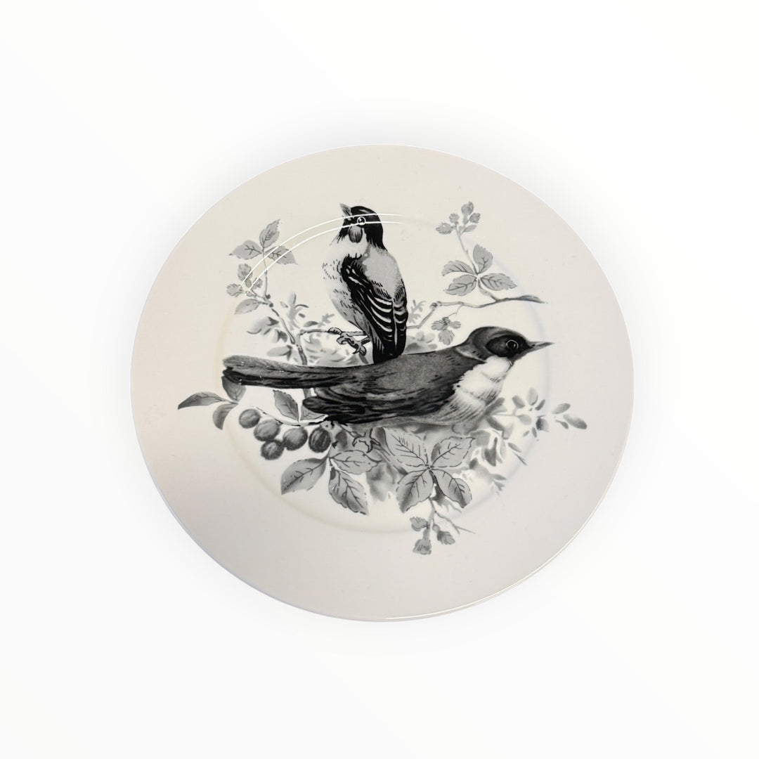 Black Pasadena Birds