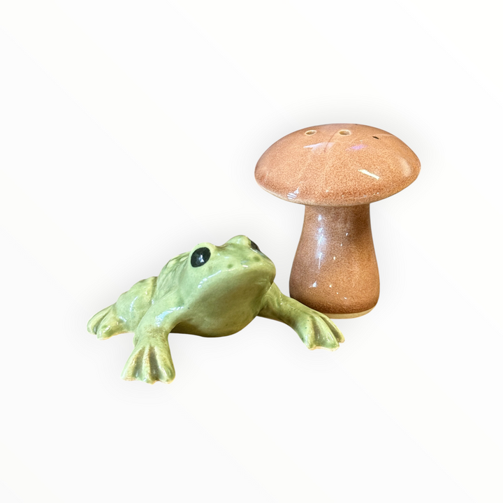 Salt and Pepper - Ceramic Frog and Toadstool