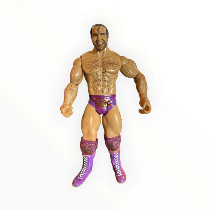 WWE Razor Ramon Classic Superstars Series 15 Action Figure Vintage Jakks Pacific