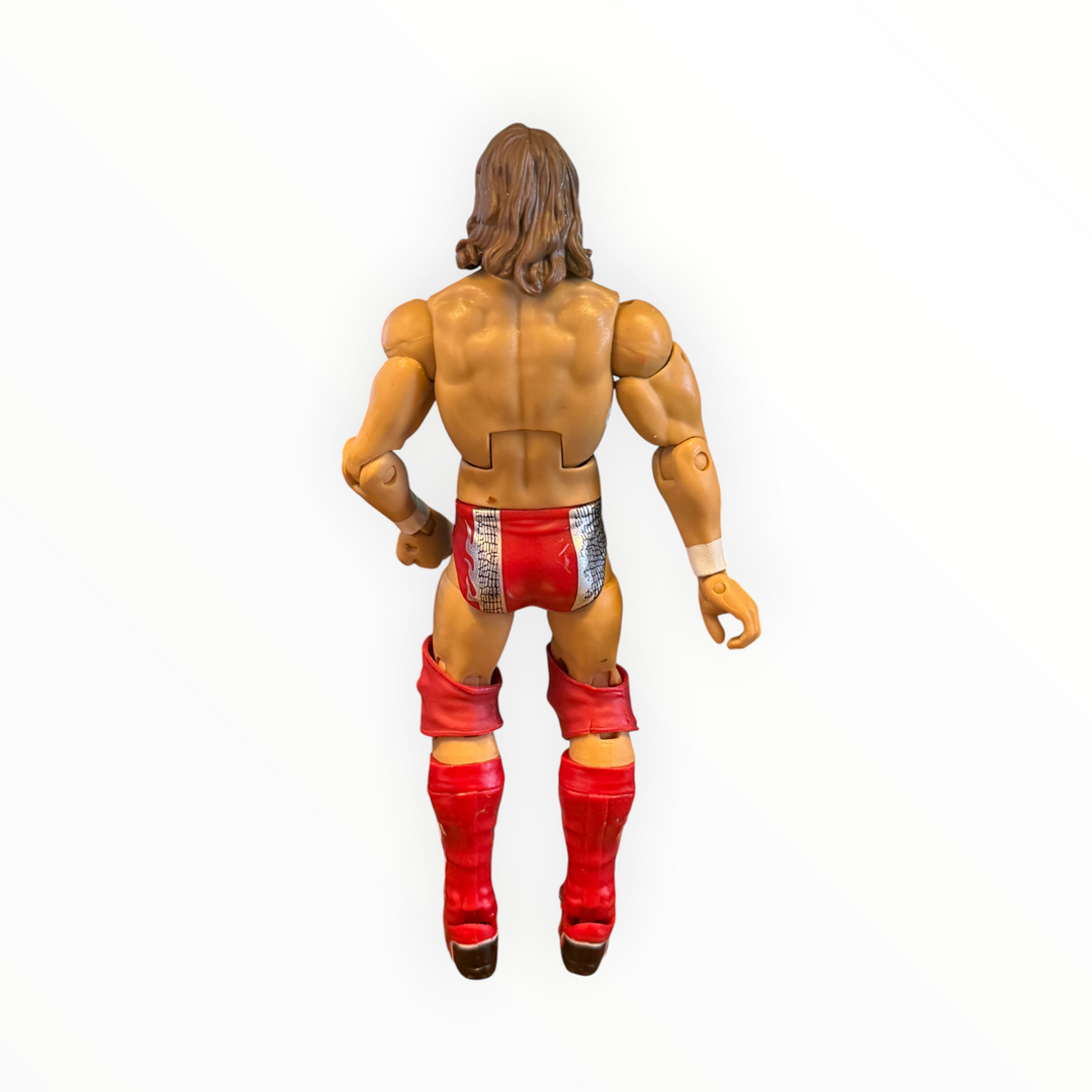 WWE Series 41 Daniel Bryan Action Figure