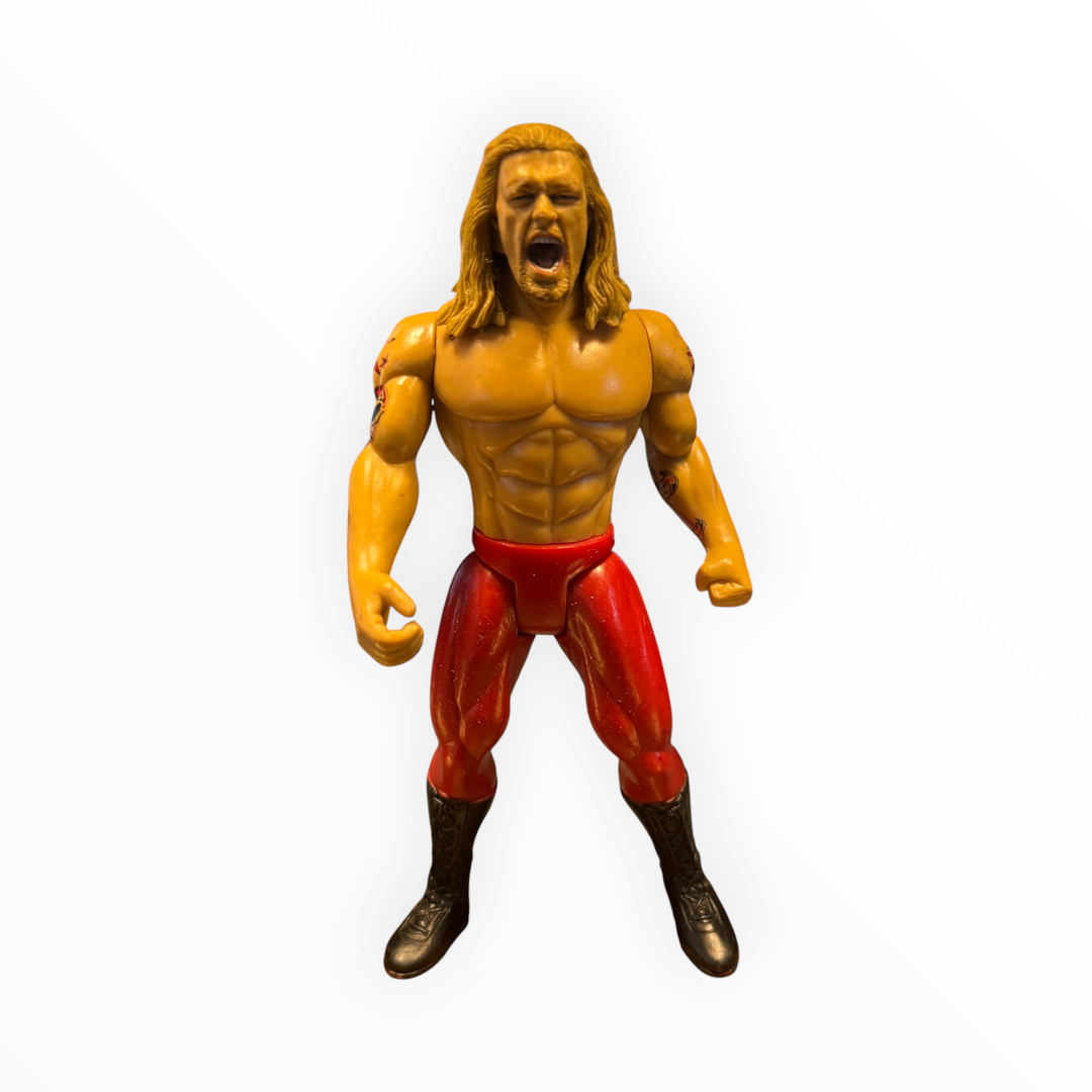 2005 Jakks Pacific WWE Edge (Adam Copeland) Action Figure