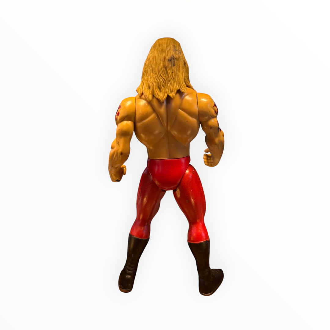 2005 Jakks Pacific WWE Edge (Adam Copeland) Action Figure