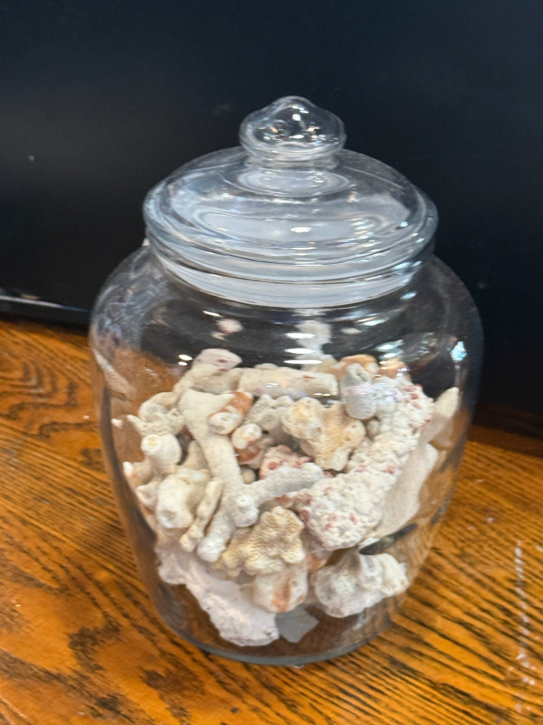 Clearance - Jar of Coral 7"