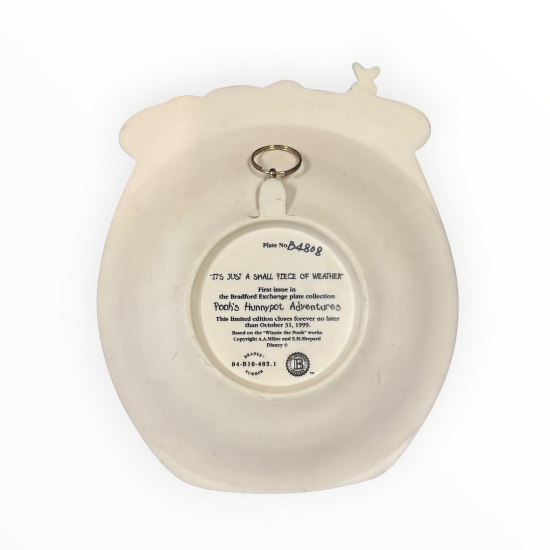 Winnie the Pooh Hunnypot Adventure 3D Plate "It&