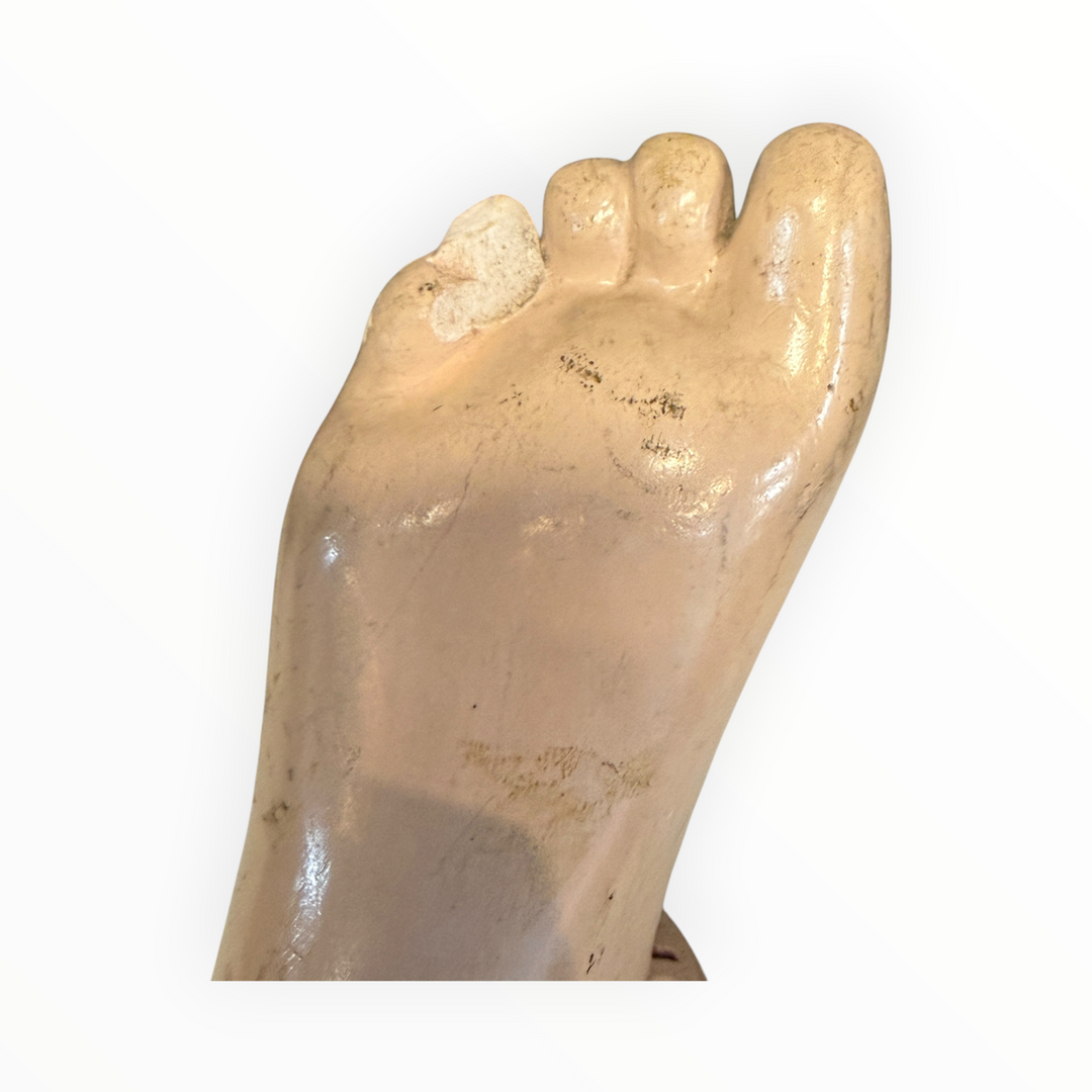 CRO*PAX Adhesa - Foam Foot