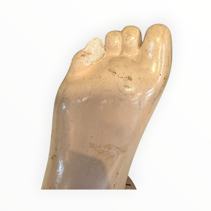 CRO*PAX Adhesa - Foam Foot