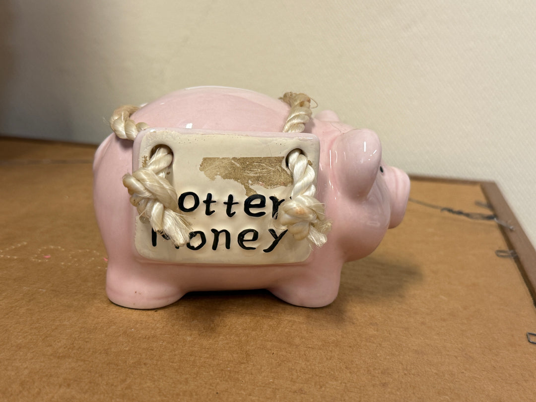 Piggy Bank - Lottery Money