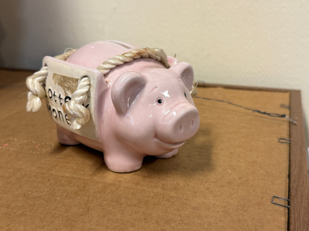 Piggy Bank - Lottery Money