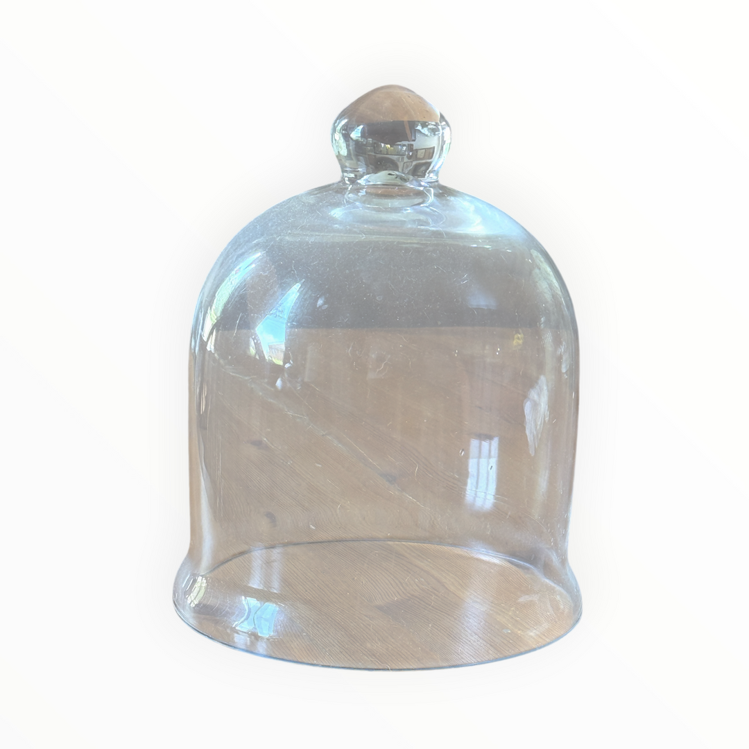 Glass Bell Jar Cloche 10"
