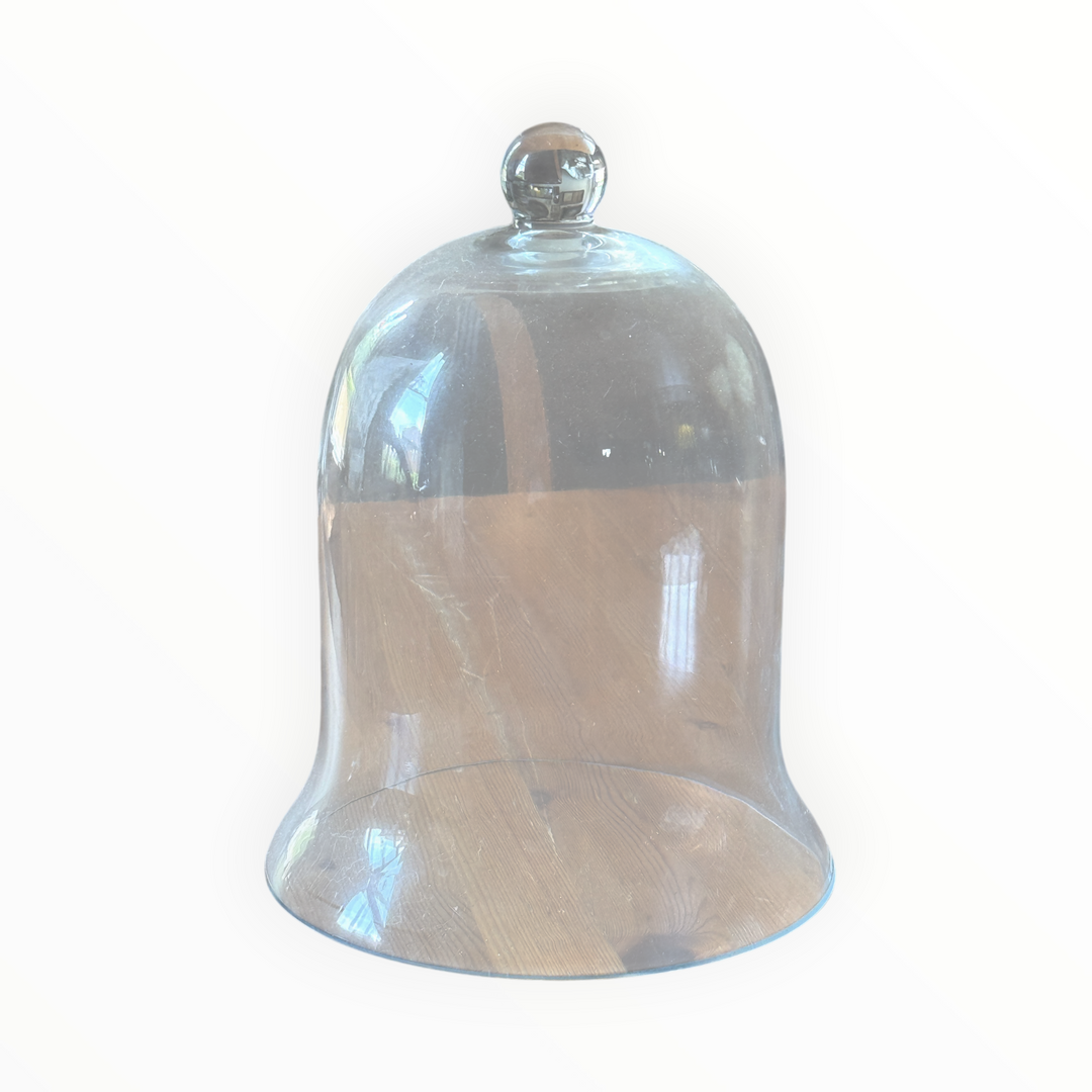 Glass Bell Jar Cloche 12"