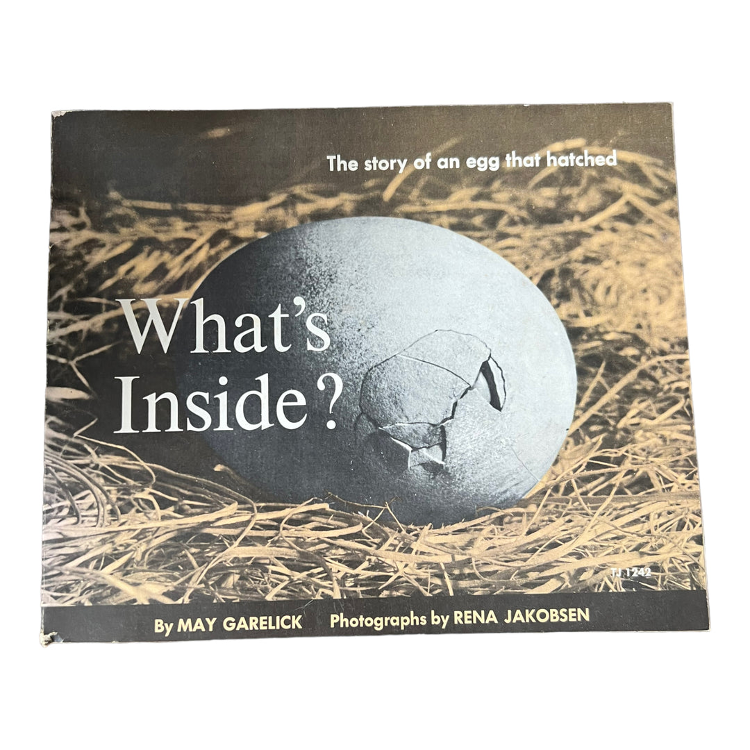 What's Inside?  The story of an egg that hatched
