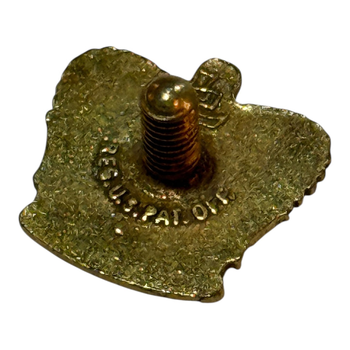 Lions Club 100% Attendance Pin