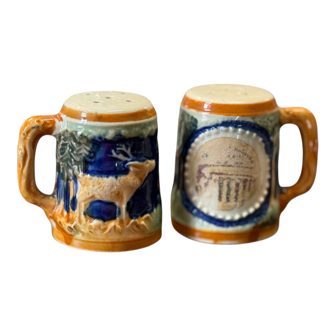 Salt and Pepper Shakers - Stein President Harding Memorial