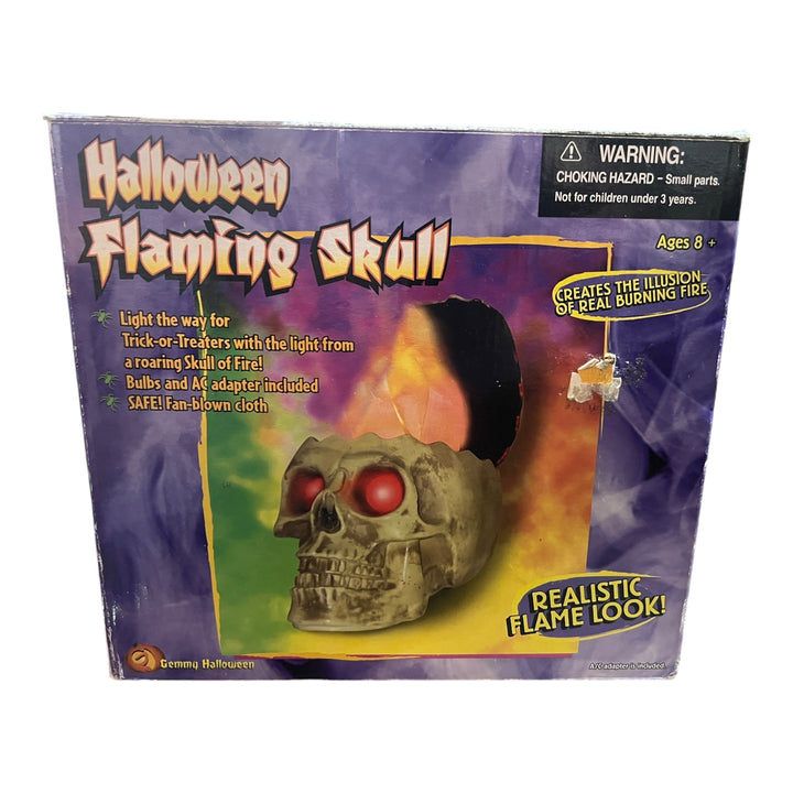 Halloween Flaming Skull