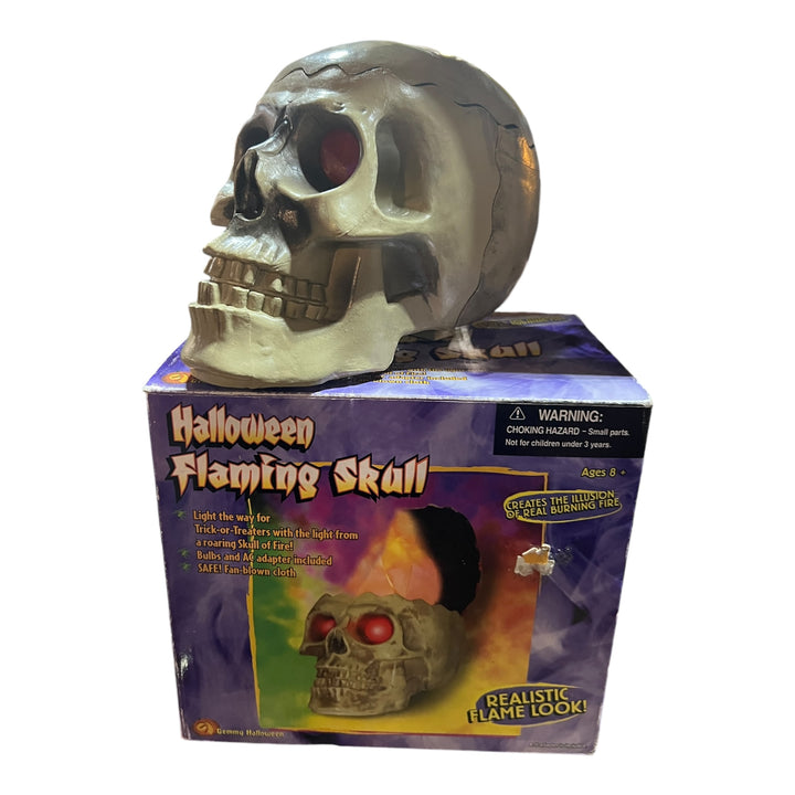 Halloween Flaming Skull