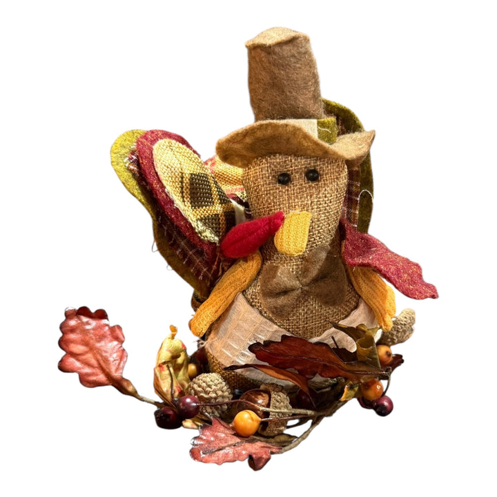 Thanksgiving Turkey Pair