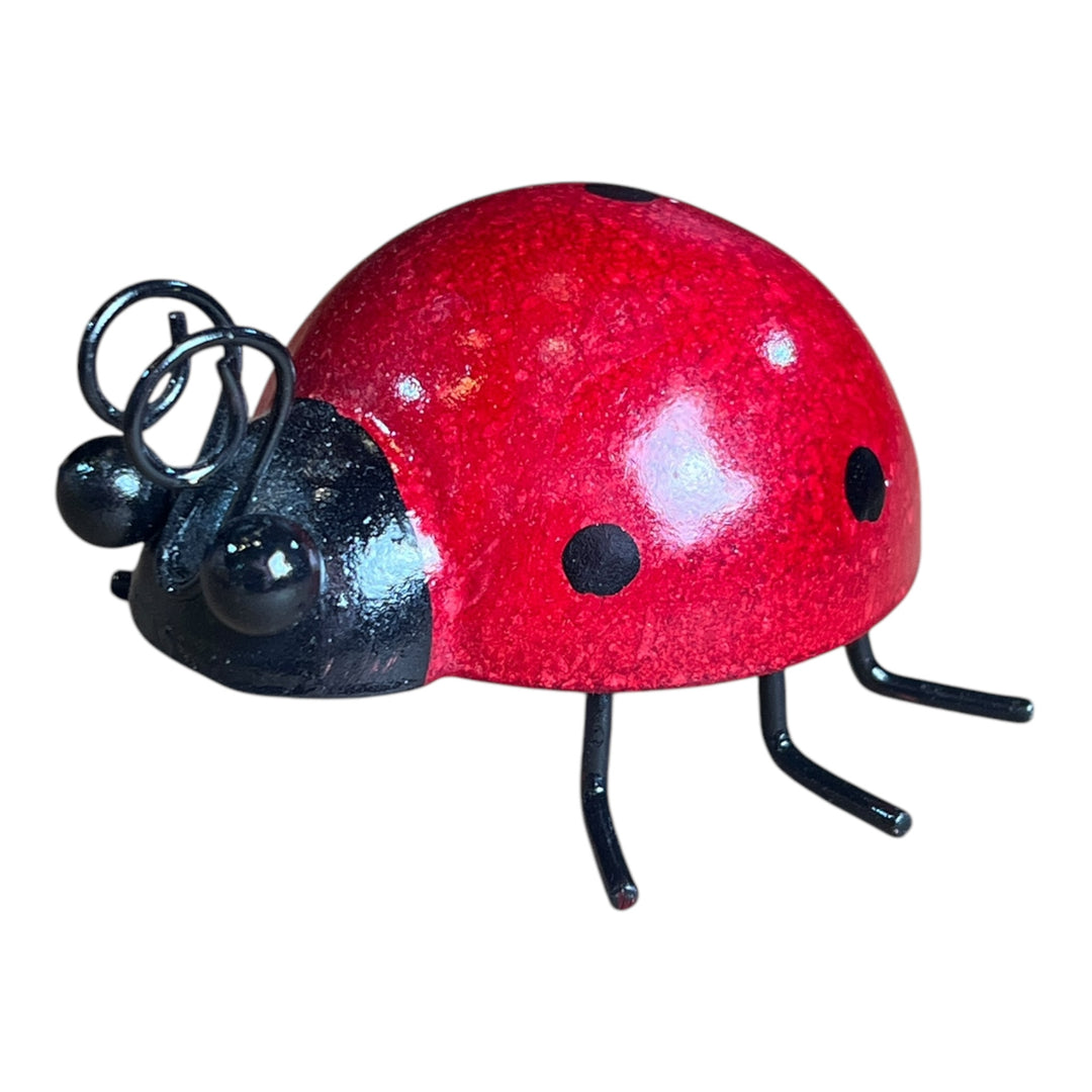 Metal Ladybug