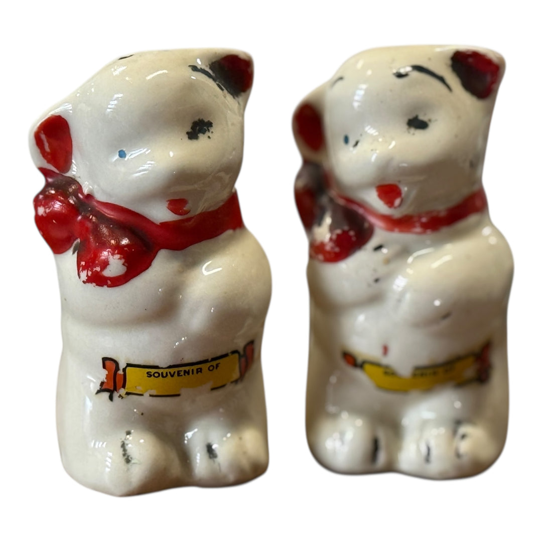 Salt and Pepper Shakers - Shawnee Beatr