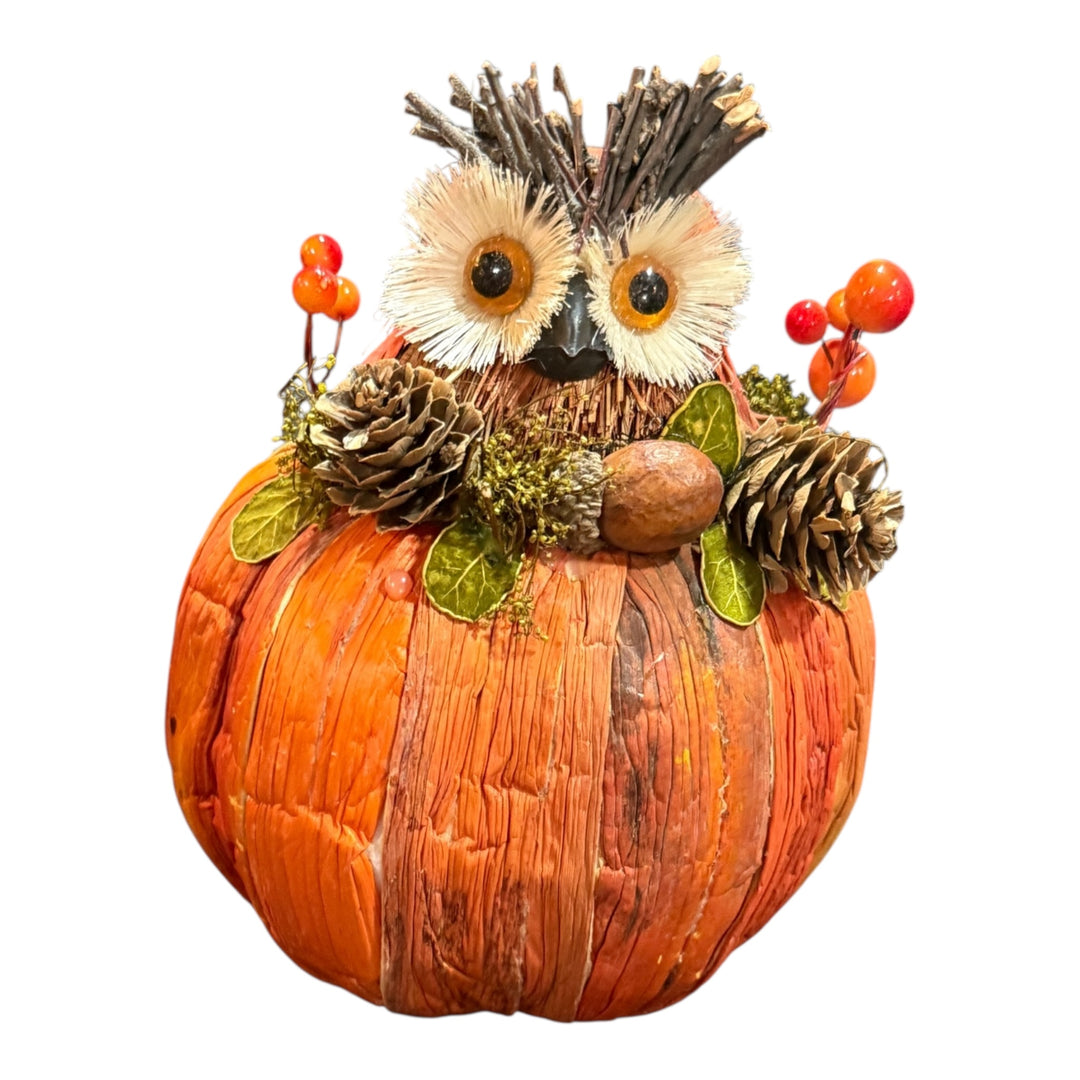 Harvest Fall Owl in Pumpkin