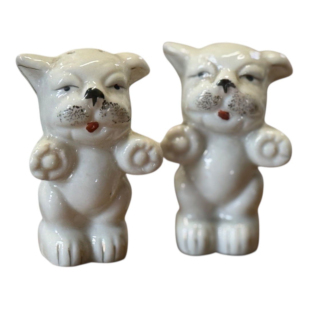 Salt and Pepper Shakers - Bonzo Dog