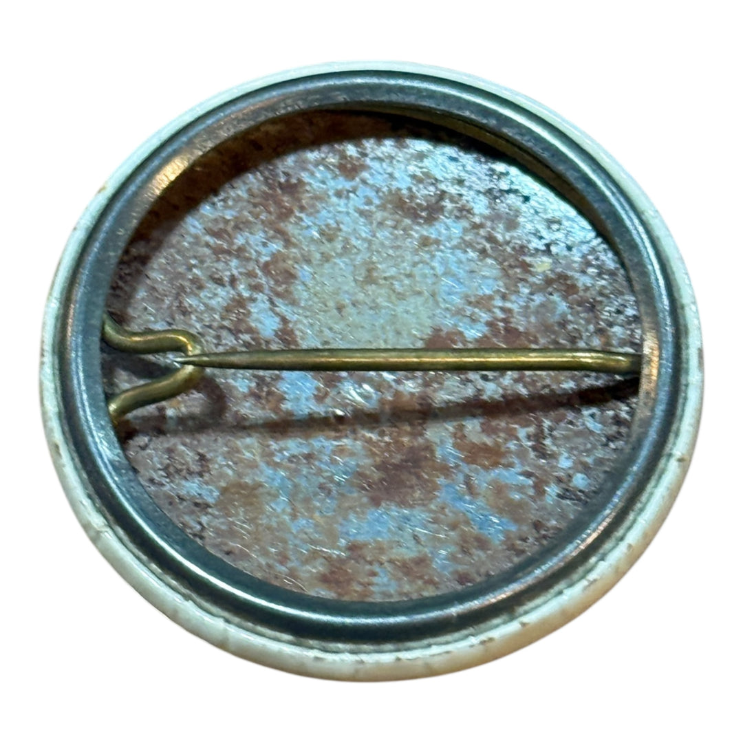 Buhl Space Academy Pin