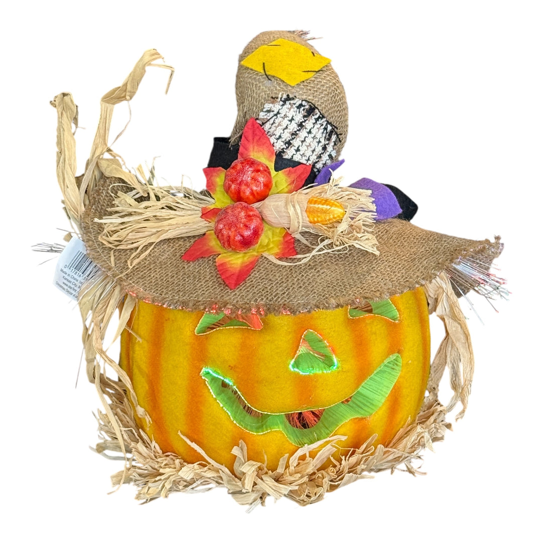 Fiber Optic Pumpkin - Screams / Laughs