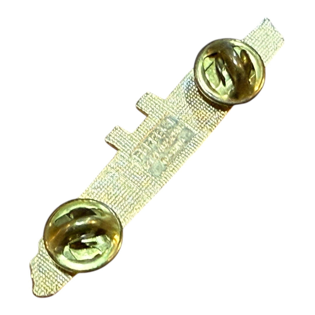 Pa Lions in Honolulu Hawaii 2000 Enamel