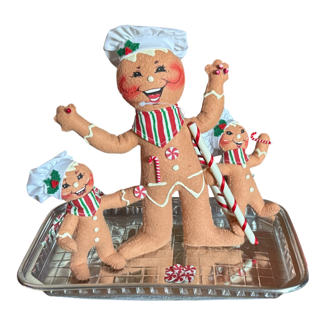 Annalee - Ginger Fun Kit