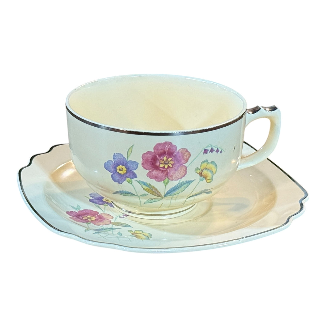 Homer Laughlin Ohio Century Wells Pattern Tea Cup and Saucer