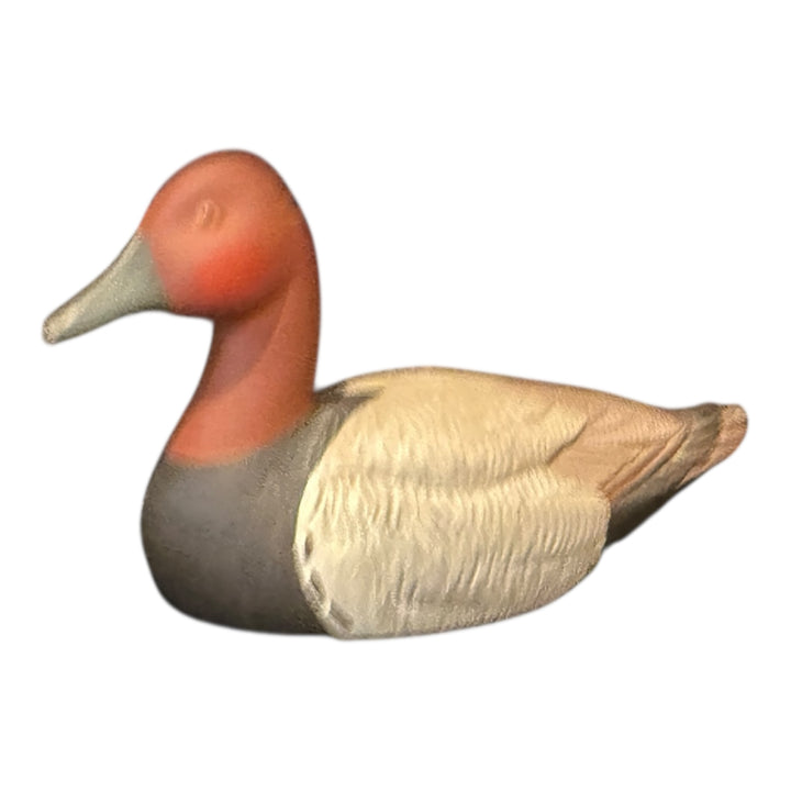 Avon Canvas Back Duck