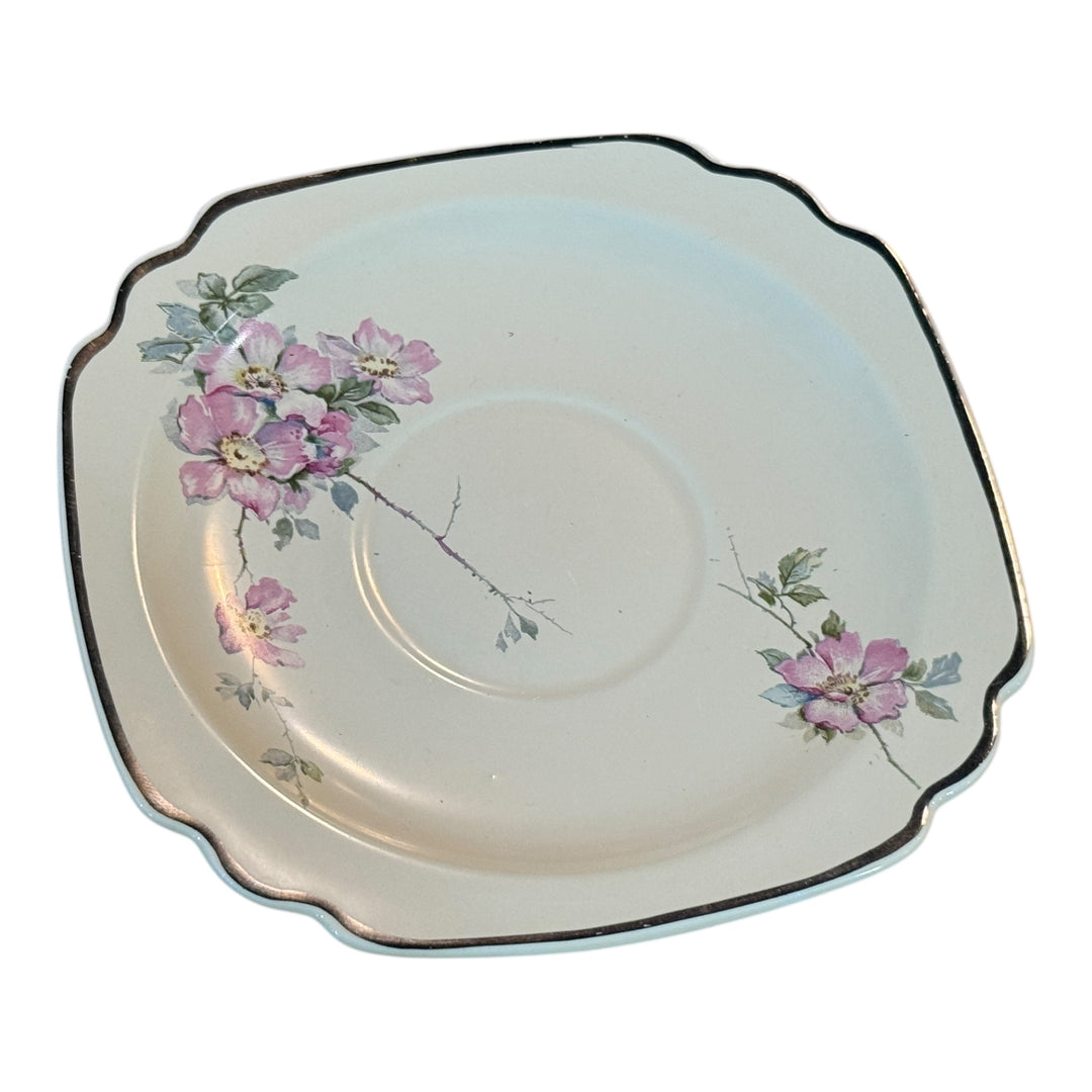 Homer Laughlin Footed Teacup & Saucer Set Briar Rose