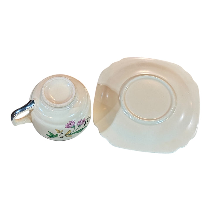 Homer Laughlin Footed Teacup & Saucer Set Briar Rose