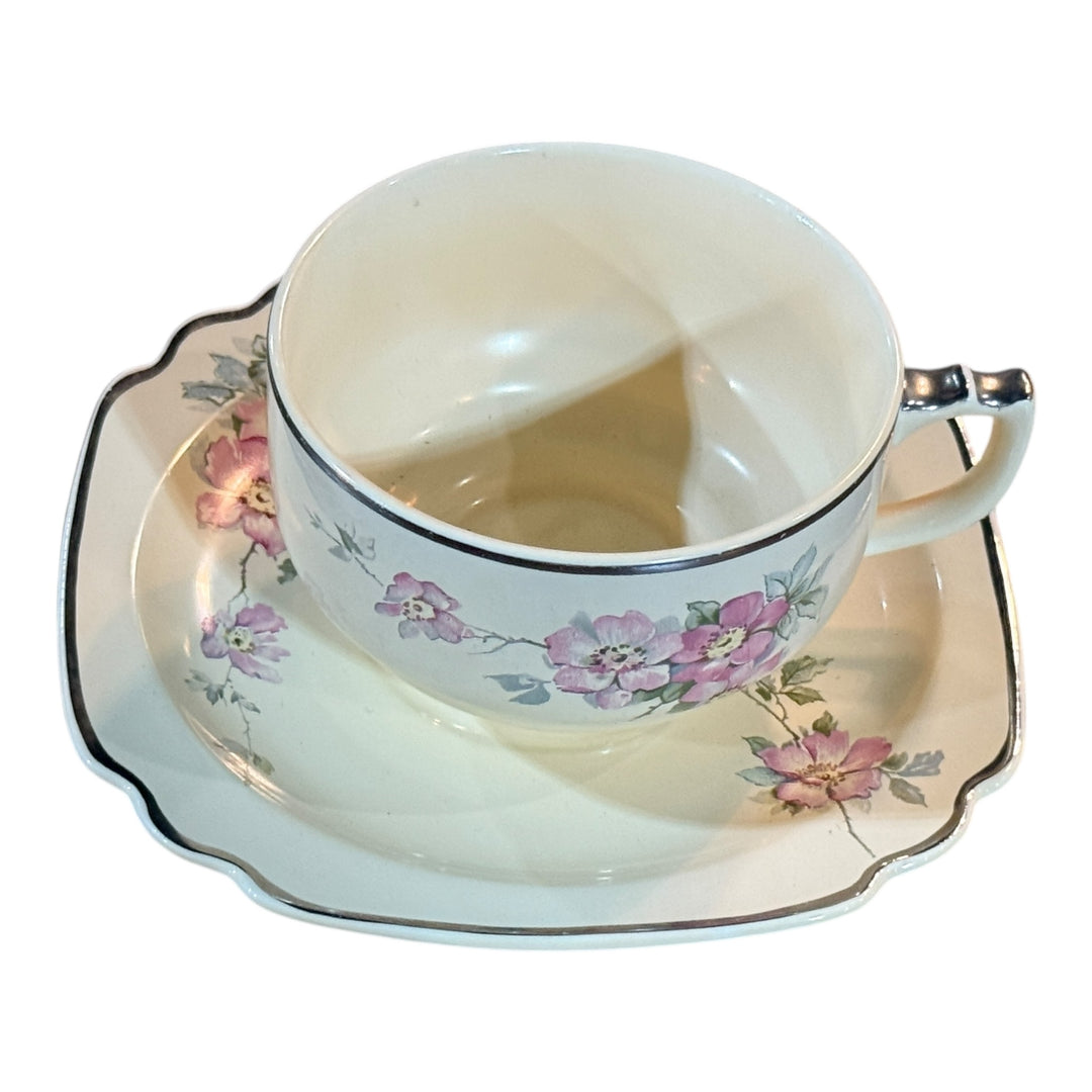 Homer Laughlin Footed Teacup & Saucer Set Briar Rose