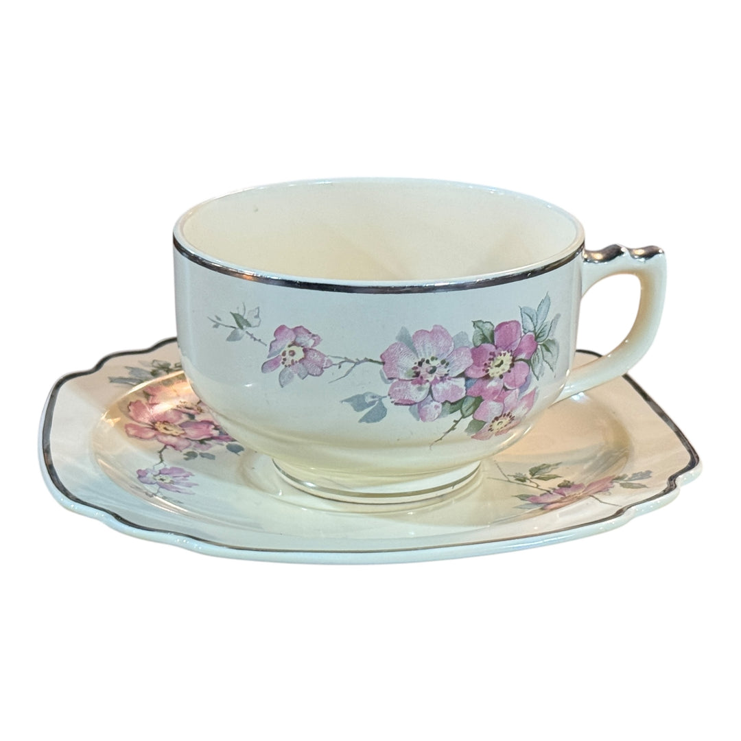Homer Laughlin Footed Teacup & Saucer Set Briar Rose