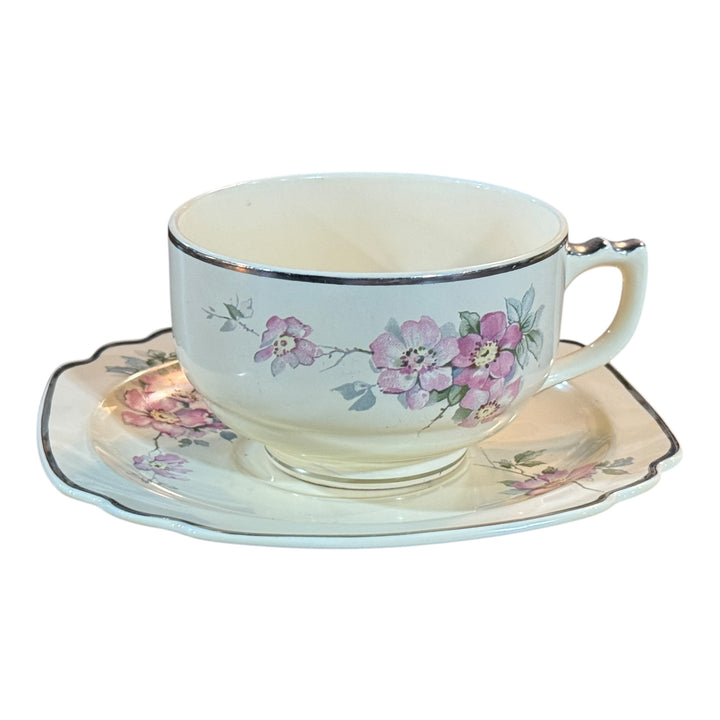 Homer Laughlin Footed Teacup & Saucer Set Briar Rose