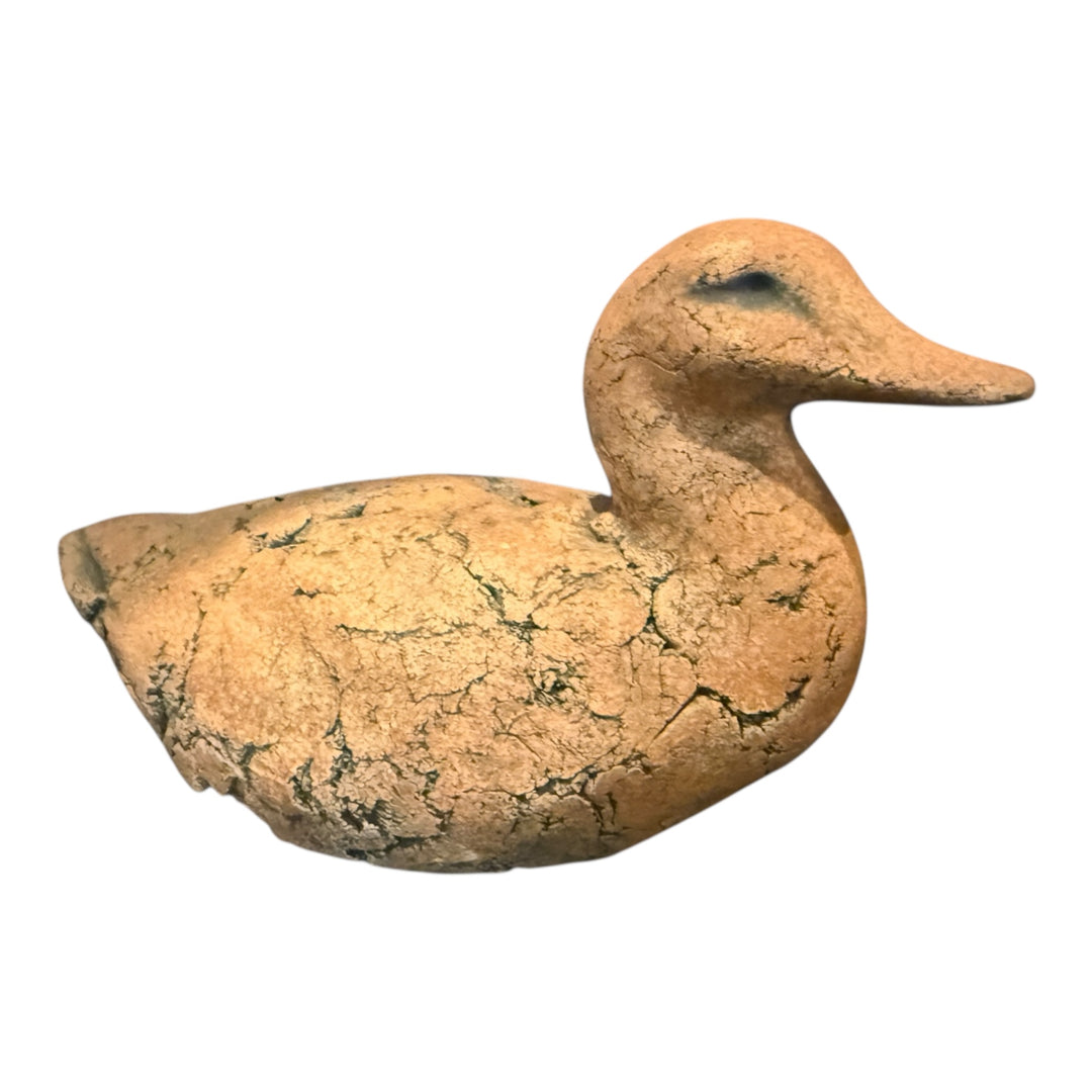 Shapes of Clay Duck
