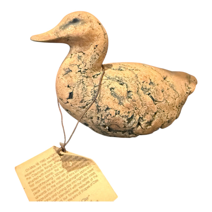 Shapes of Clay Duck