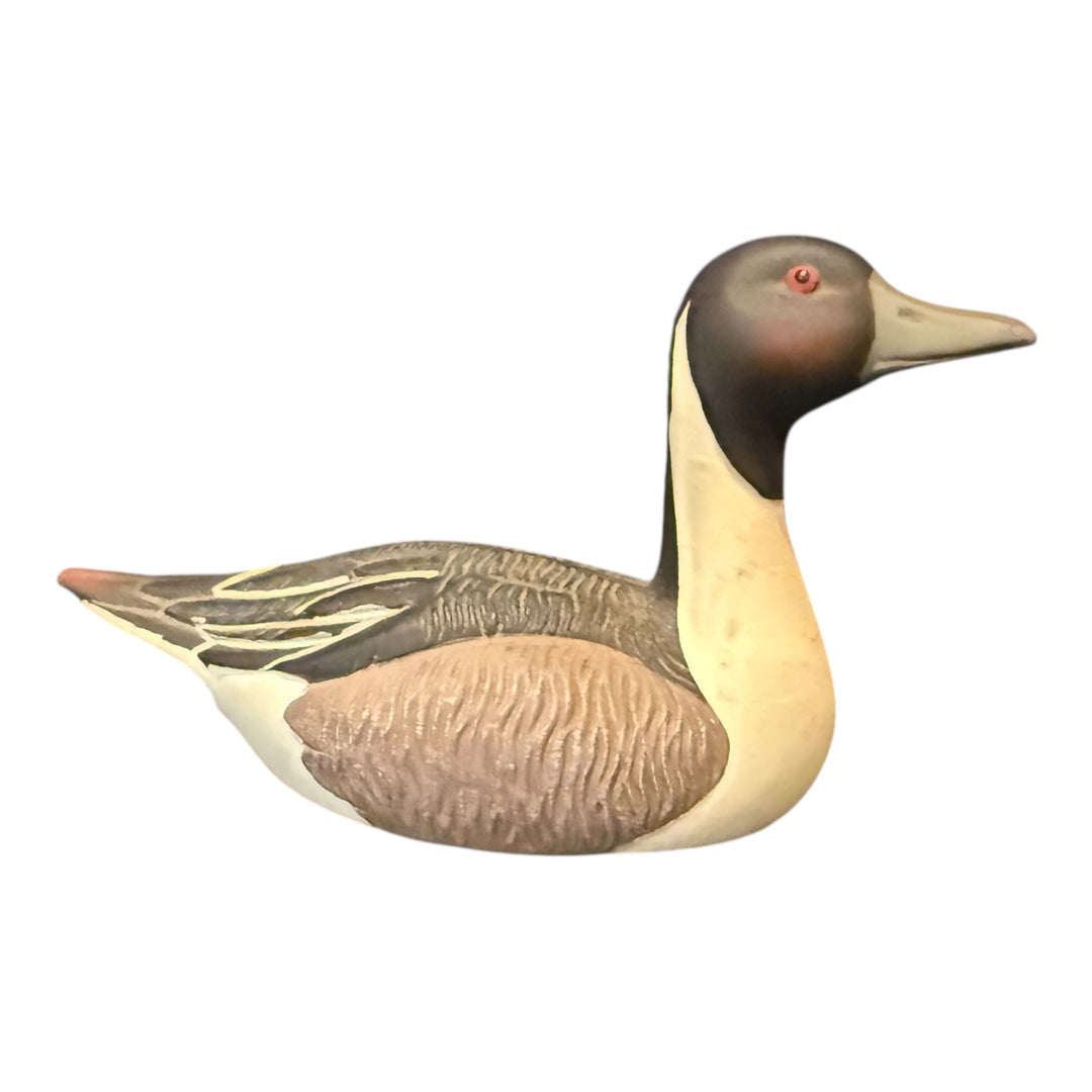 Avon Pintail Duck