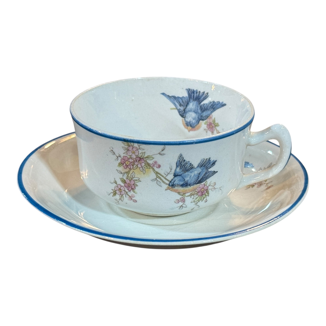 Homer Laughlin Teacup and Saucer Bluebird
