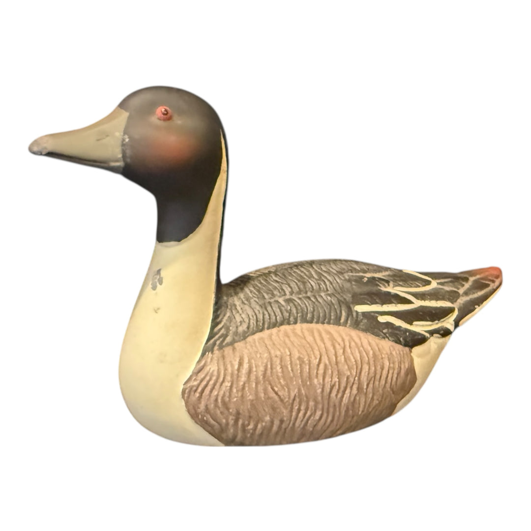 Avon Pintail Duck